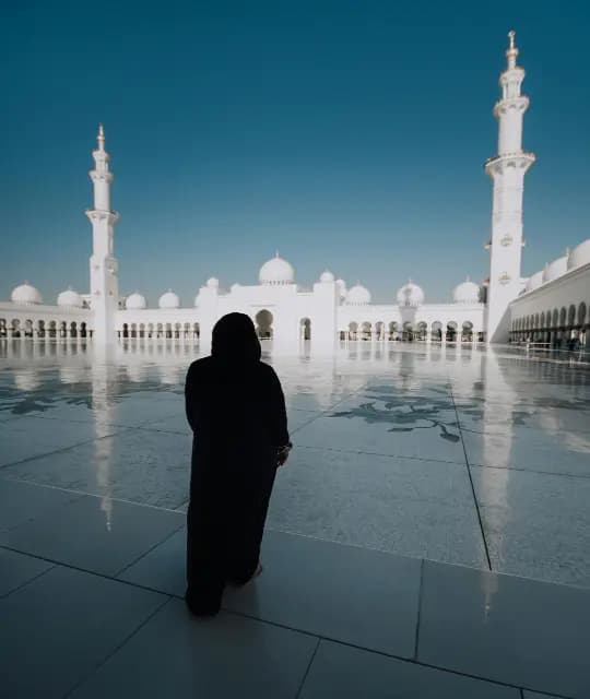 Premium Abu Dhabi Half Day Tour From Dubai